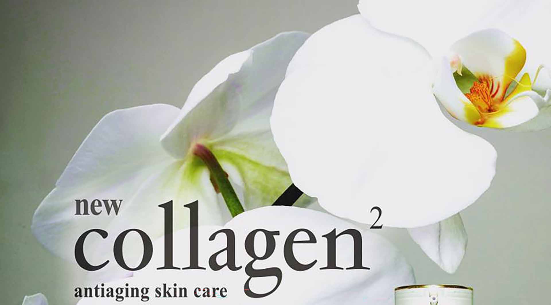 Collagen 2 Anti-aging Treatment, Yellow Rose